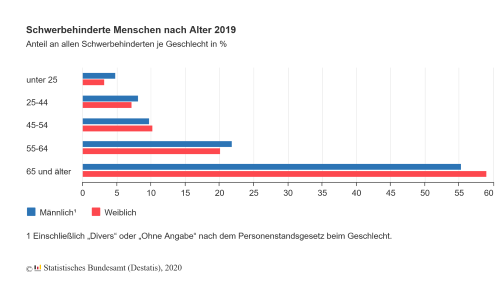 Statistik Menschen mit Behinderung 2019